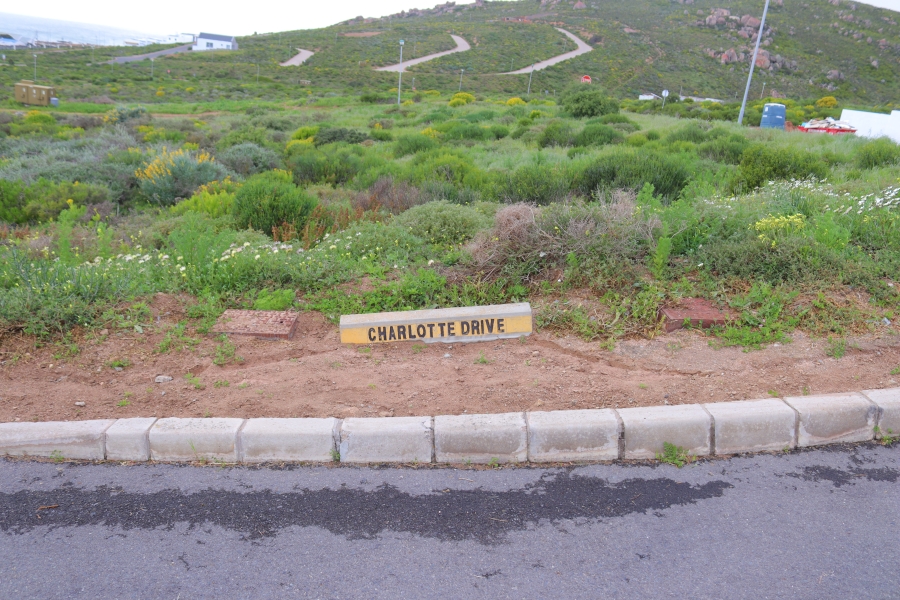 0 Bedroom Property for Sale in Steenbergs Cove Western Cape